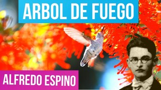 ARBOL DE FUEGO ALFREDO ESPINO 🌳🔥 | Árbol de Fuego Poema Jícaras Tristes 😘 | Valentina Zoe Poesía