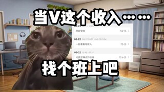 【猫猫meme】把b站当vup写进简历时我没想到面试会这样啊！