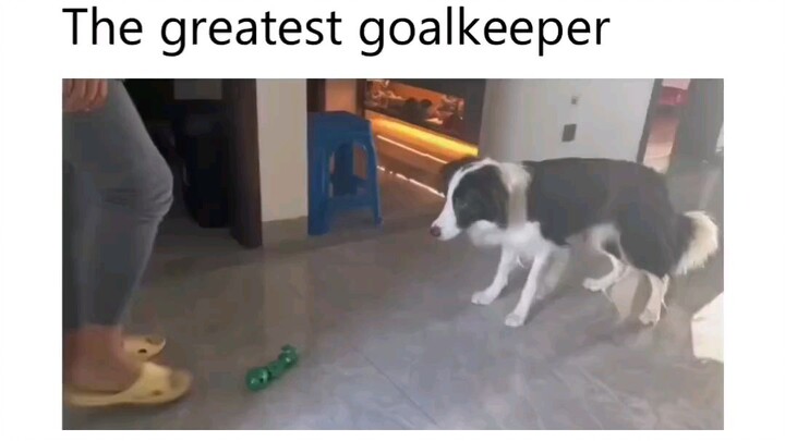 best goal keeper