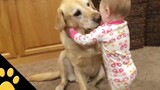 สุนัขน่ารักและทารกที่น่ารัก รวบรวม