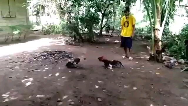 Unang subok nang pag tatare ko