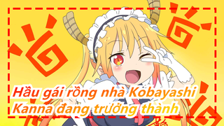 [Hầu gái rồng nhà Kobayashi] Đừng lo, Kobayashi, Kanna đang trưởng thành từ từ