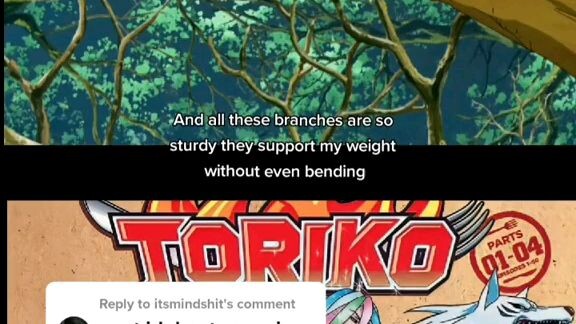 toriko