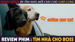 [Review Phim] TÌM NHÀ CHO BOSS - Hành Trình Đi Tìm NHÀ MỚI Cho Chú Chó Cưng