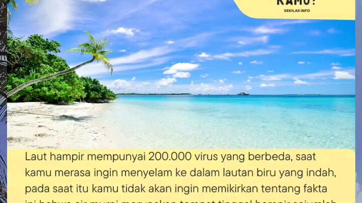 Fakta unik air laut.