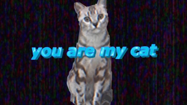 you are my cat