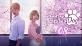 🇰🇷 Ep.8 | A GoodDay To Be A Dog [Eng Sub]