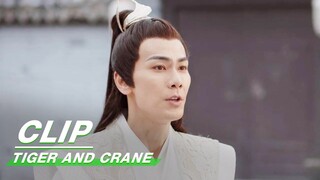 Qi Wuji Promises to Seek Medicine | Tiger and Crane EP36 | 虎鹤妖师录 | iQIYI