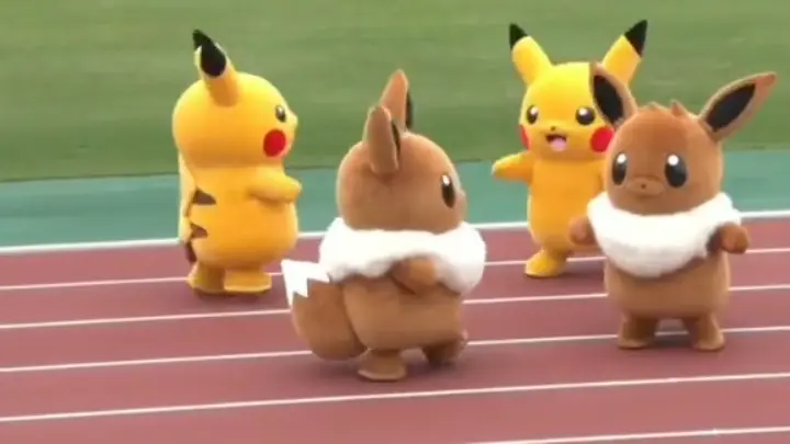 Pokemon Race