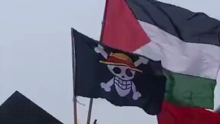 Đây... Lá cờ mũ rơm đầu lâu xương chéo của Vua Hải Tặc xuất hiện giữa đám đông tại một sự kiện diễn 