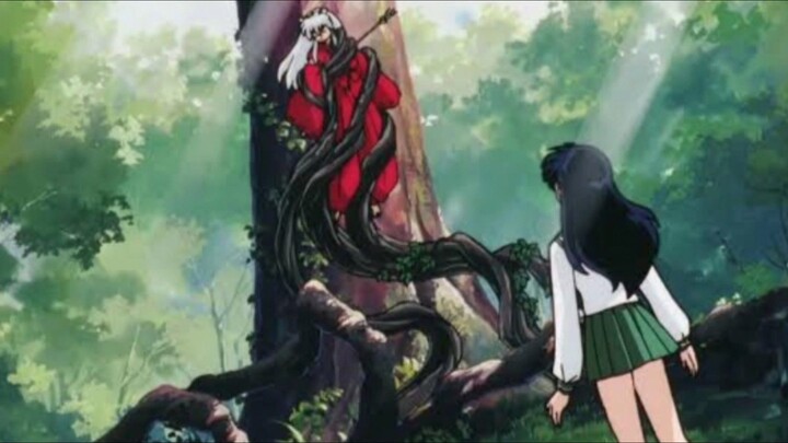 Momen Pertamakali Inuyasha Kagome Ketemu
