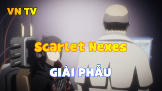 Scarlet Nexes_Giải phẫu