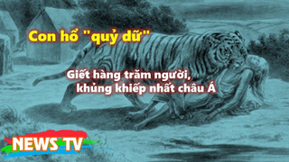 Con hổ quỷ dữ - Giết hàng trăm người, khủng khiếp nhất châu Á