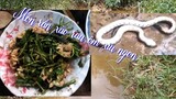 Món ngon mỗi ngày | món ăn việt nam trong những ngày giãn cách xã hội | monngonmoingay#monanvietnam
