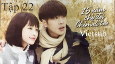 Mười Lăm Năm Chờ Đợi Chim Di Trú - Tập 22 | Vietsub