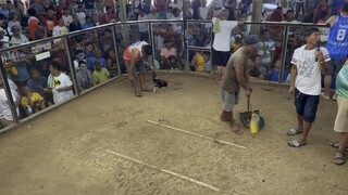BUGTUNGAN ang senyal! panalo