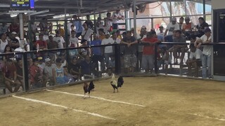 YANAT GF Win