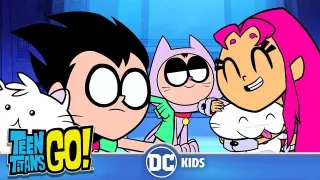 Teen Titans Go! | More Cats 😻Cats 😽Cats 😼| DC Kids