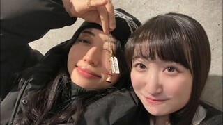 与目前动画截然相反的母鸡卡
