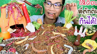 เครื่องมือทำสวนกินได้ กินไส้เดือนยักษ์ กินดิน Mukbang ASMR EDIBLE WORMS GARDEN TOOLS SOILขันติ