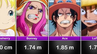 Height of One Piece Characters