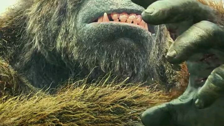 KONG VS OCTOPUS😱😱😱