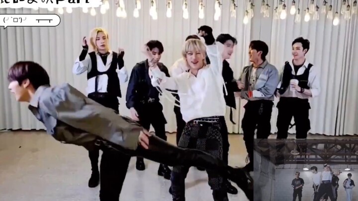 [K-POP]Stray Kids - Back Door|Dance Practice/Parts Exchanged