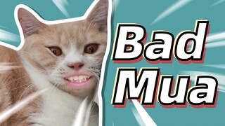 [Hài hước] <Bad Guy> phiên bản mèo ngáo <Bad Mua> siêu hài hước