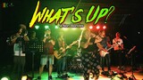 What's Up? - 4 Non Blondes | Kuerdas Reggae Cover | Live Gig