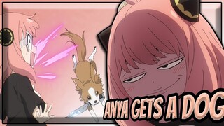 ANYA BECOMES A HERO 🦸‍♀️ | SPY X FAMILY Episode 11 Review