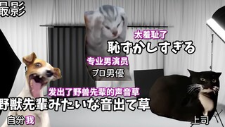 【熟肉】在南桐片制作公司打工的日常（男演员篇） | 猫meme