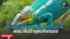 ธรรมชาติพิศวงแห่งมาดากัสการ์ ตอน ผืนป่าสุดมหัศจรรย์ WILD WONDERS OF MADAGASCAR สารคดีพากย์ไทย