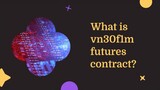 What is vn30f1m futures contract?