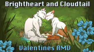Brightheart and Cloudtail - A Valentines Day AMV