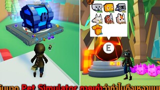 กลับมาดู Pet Simulator ภาคเก่าว่าทำไมถึงเหงาแบบนี้