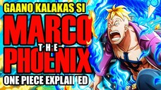 Gaano Kalakas si Marco the Phoenix?