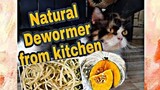 SQUASH SEEDS DEWORMER FOR CATS AND DOGS| NATURAL DEWORMER
