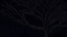 Hakkenden- Touhou Hakken Ibun SS1- Ep 08