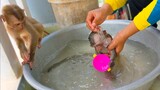 Routine Bathing!! Take a bath for tiny adorable Toto & Yaya keep them cleans all the time