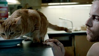 含泪解说《流浪猫鲍勃》，当流浪猫遇上流浪汉，奇迹发生了