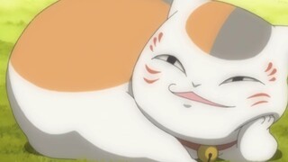 Teacher Cat: Blame others first, don’t waste your energy