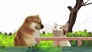 用我的观念来要求她