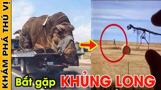 🔥 10 Đoạn Video Là Bằng Chứng Chứng Minh Khủng Long Thời Tiền Sử Xuất Hiện Ngoài Đời Thực | KPTV