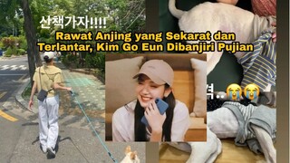 Rawat Anjing yang Sekarat dan Terlantar, Kim Go Eun Dibanjiri Pujian