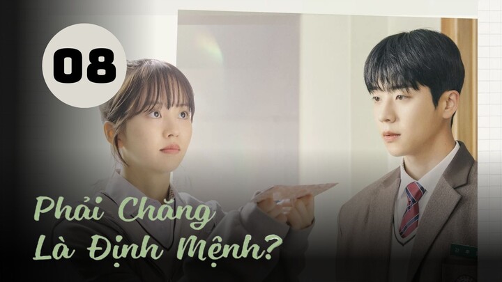 Tập 8 - END| Phải Chăng Là Định Mệnh? - Serendipity's Embrace (Kim So Hyun, Chae Jong Hyeop,...).