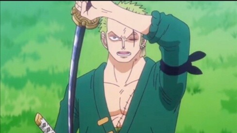 "Zoro: Vậy nếu trái ác quỷ đó thức tỉnh thì sao?"