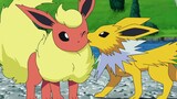 Pokémon丨Tôi nghe nói rằng hầu hết các nàng tiên xinh đẹp Eevee đều là con trai~~~