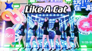 不看腿挑战2.0！戴猫耳朵版 猫步轻俏(Like A Cat)-AOA 翻跳路演