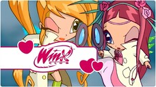 Winx Club - Sezon 3 Bölüm 11 - Perilere Tuzak