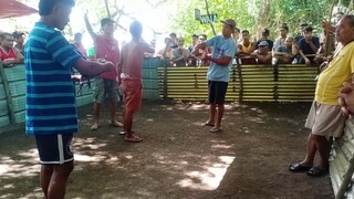 sinebalang